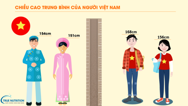 Chiều Cao Lý Tưởng Của Nam Giới Việt Nam: Yếu Tố Ảnh Hưởng Và Bí Quyết Giúp Tăng Chiều Cao