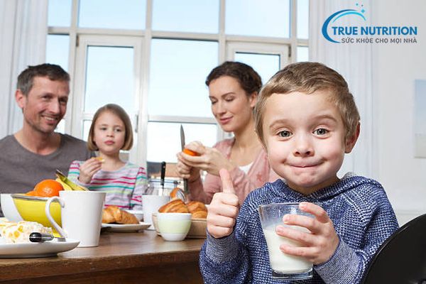 Sữa Ensure Có Phải Sữa Bổ Không?