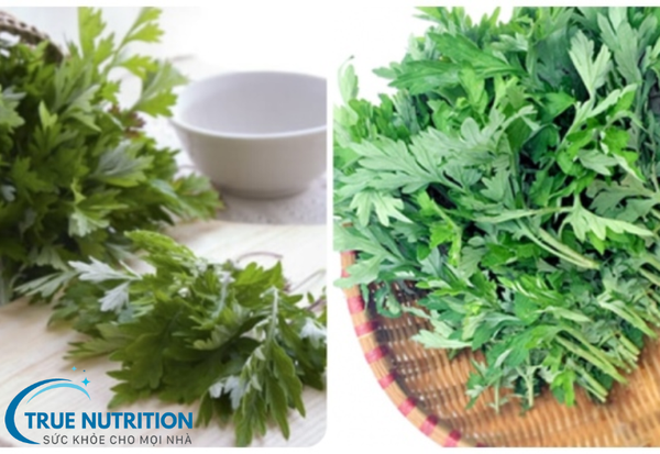 Tiểu Đường Có Ăn Được Ngải Cứu Không? Khám Phá Lợi Ích Và Cách Dùng Đúng Cách!