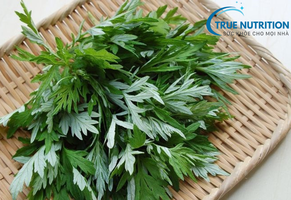 Tiểu Đường Có Ăn Được Ngải Cứu Không? Khám Phá Lợi Ích Và Cách Dùng Đúng Cách!