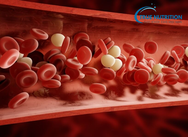 Người Tiểu Đường Có Bị Máu Khó Đông Không