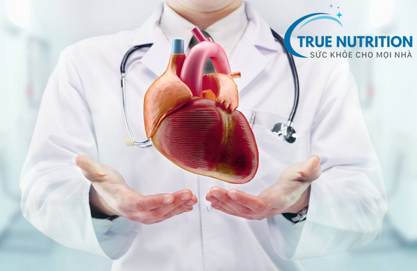 Tiểu Đường và Tim Mạch