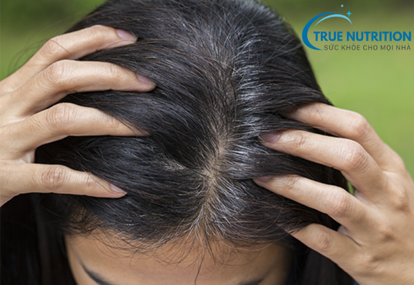 Tóc Bạc Sớm: Nguyên Nhân và Cách Khắc Phục Hiệu Quả