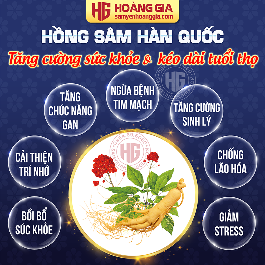 showroom_ban_hong_sam_han_quoc_tai_hai_phong_d1d472f18ea74cff895e52a9ac60815f