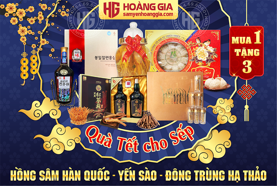 showroom_ban_hong_sam_han_quoc_tai_lao_cai__long_an_59bdc3b4525542268c5a0489adb788a2