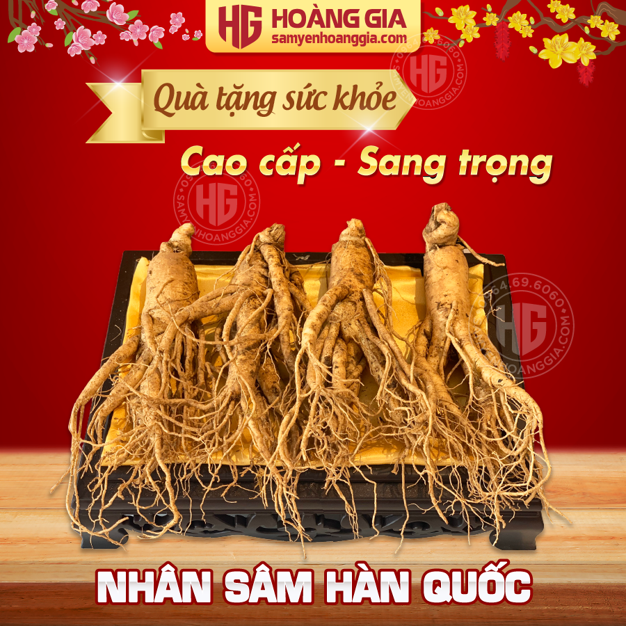 showroom_ban_hong_sam_han_quoc_tai_ngo_quyen__son_tra__da_nang_66d90b958b4e4d54a19710e2f4d6ca52