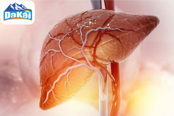 Các triệu chứng của bệnh gan nhiễm mỡ theo từng giai đoạn
