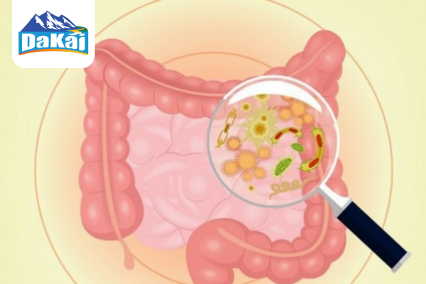 Triệu chứng cảnh báo cơ thể đang bị nấm đường ruột bạn cần lưu ý