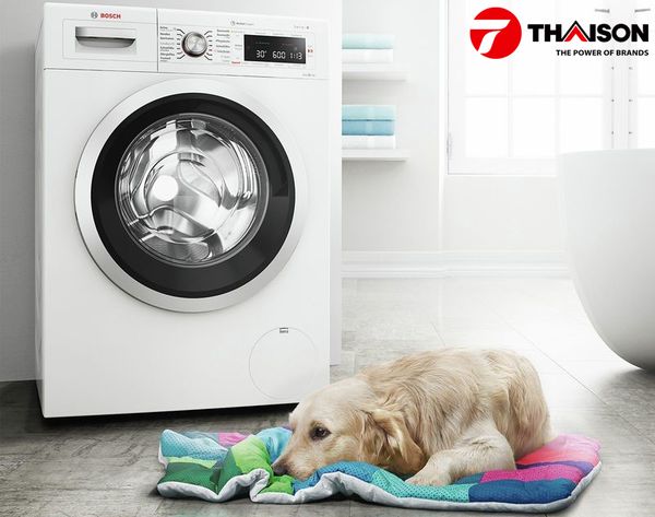 Các chương trình giặt của máy giặt Bosch