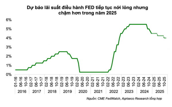 Laban Capital, quỹ đầu tư Việt Nam