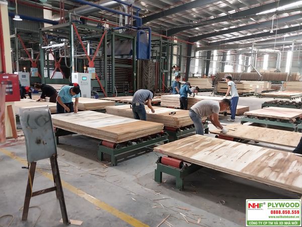 NHF Plywood - Sức mạnh từ quy trình sản xuất tự động hóa