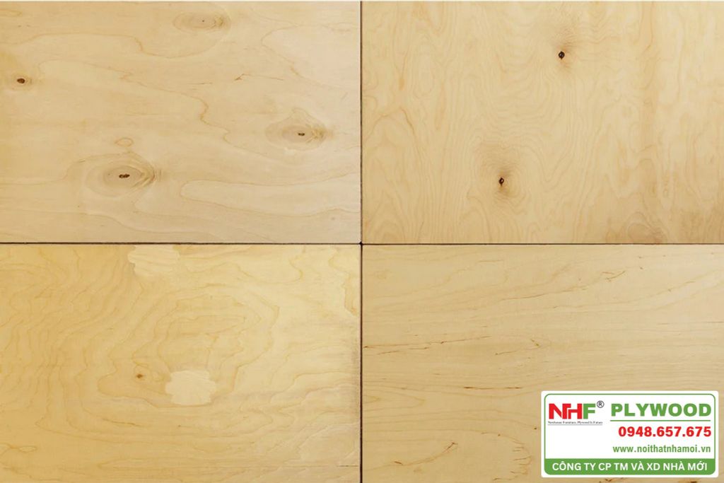 Phân biệt các cấp bề mặt gỗ dán: A, B, C, D có gì khác nhau?