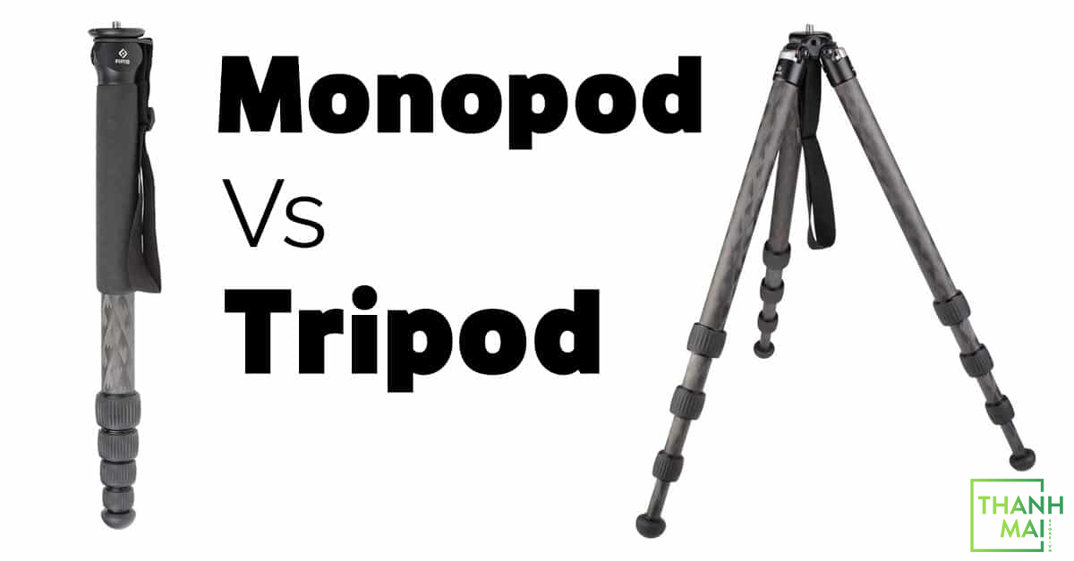 Nên chọn dùng chân máy ảnh Monopod hay chân máy ảnh Tripod? Thanh Mai Store