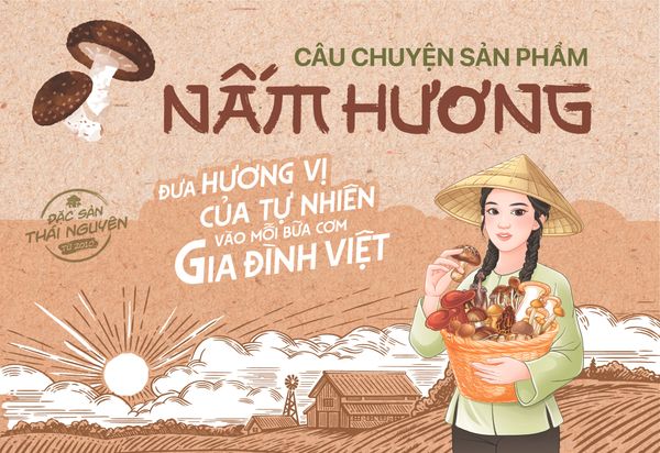 Nấm Hương - Đưa hương vị của tự nhiên vào mỗi bữa cơm gia đình Việt