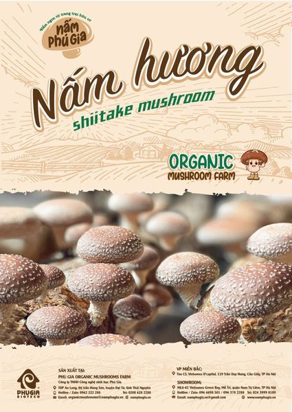 Nấm Hương - Món quà tự nhiên!