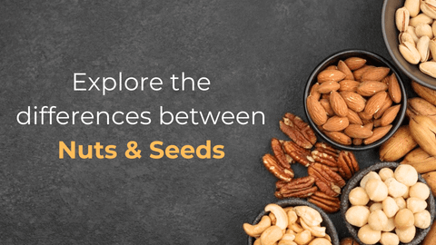 Explore The Differences Between Nuts and Seeds