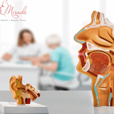 CÁC BỆNH TAI - MŨI - HỌNG THƯỜNG GẶP