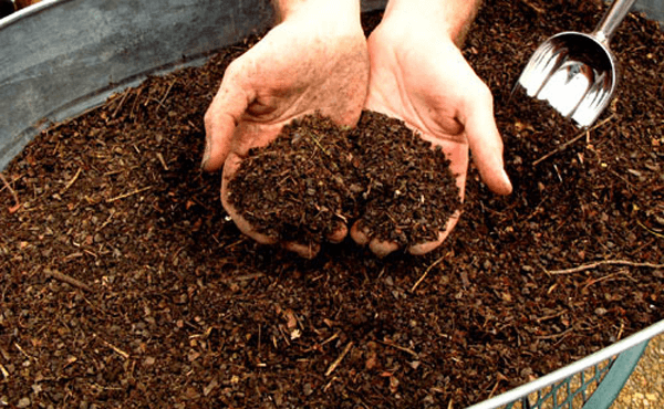 Vườn sạch 7kg cung cấp các loại phân bón cho lan giá tốt