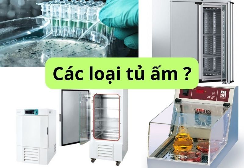 Tủ ấm là gì? Các loại tủ ấm phòng thí nghiệm phổ biến