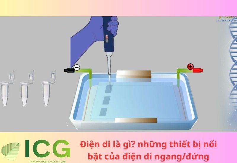 Điện di là gì? Các kỹ thuật điện di được sử dụng nhiều nhất