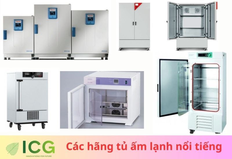 Top +5 hãng sản xuất tủ ấm lạnh tốt và hiệu quả nhất hiện nay