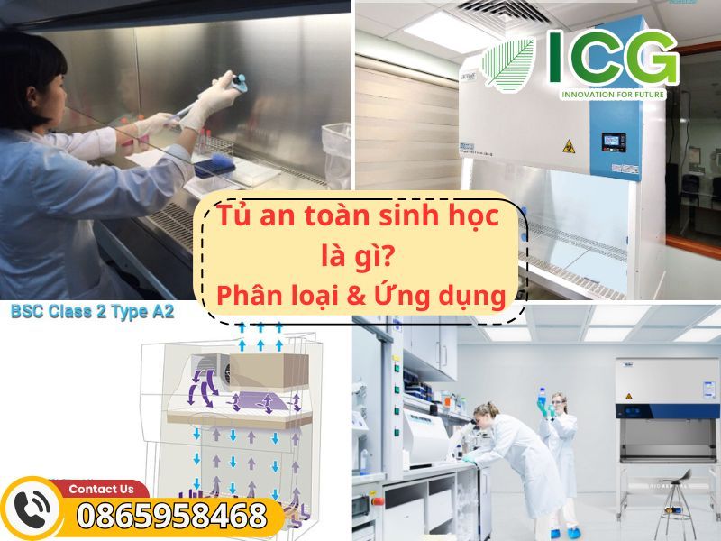 Tủ an toàn sinh học là gì?: Khái niệm, phân loại và ứng dụng