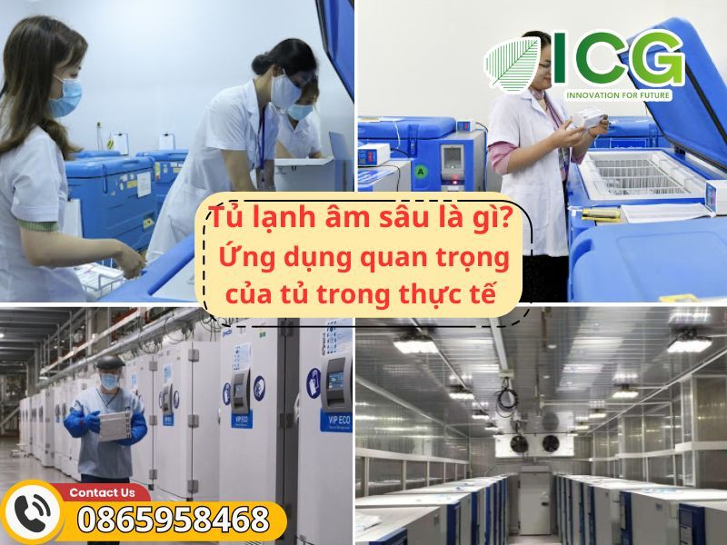 Tủ lạnh âm sâu là gì: Cấu tạo và ứng dụng thiết yếu trong nhiều lĩnh vực