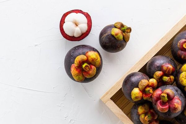 Trái măng cụt tốt sẽ giữ được chất lượng và hương vị lâu hơn.