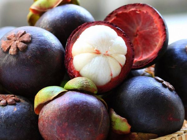 Măng cụt có thể được bảo quản ở nhiệt độ phòng, trong tủ lạnh, đông lạnh hoặc truyền thống.