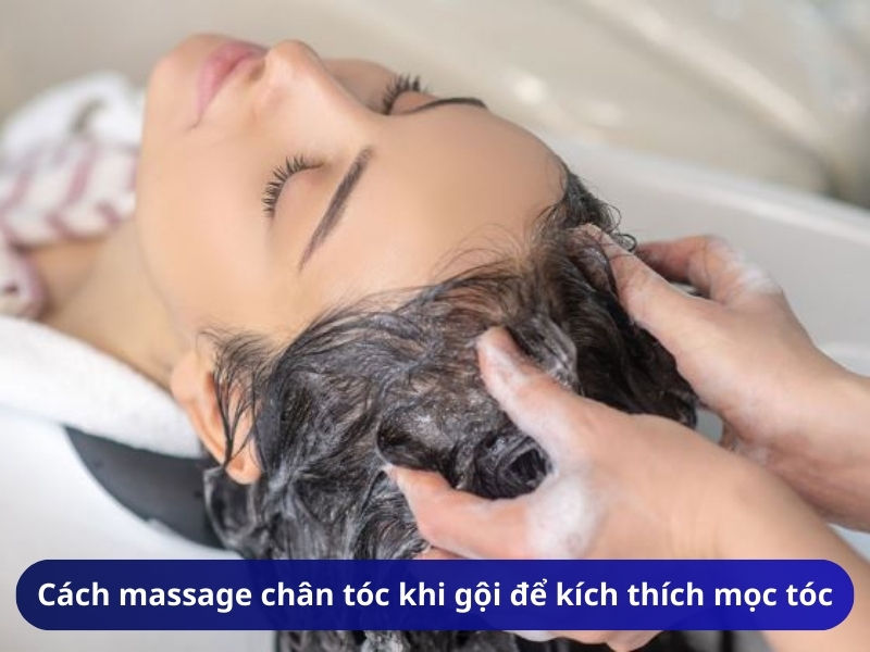Cách massage chân tóc khi gội để kích thích mọc tóc