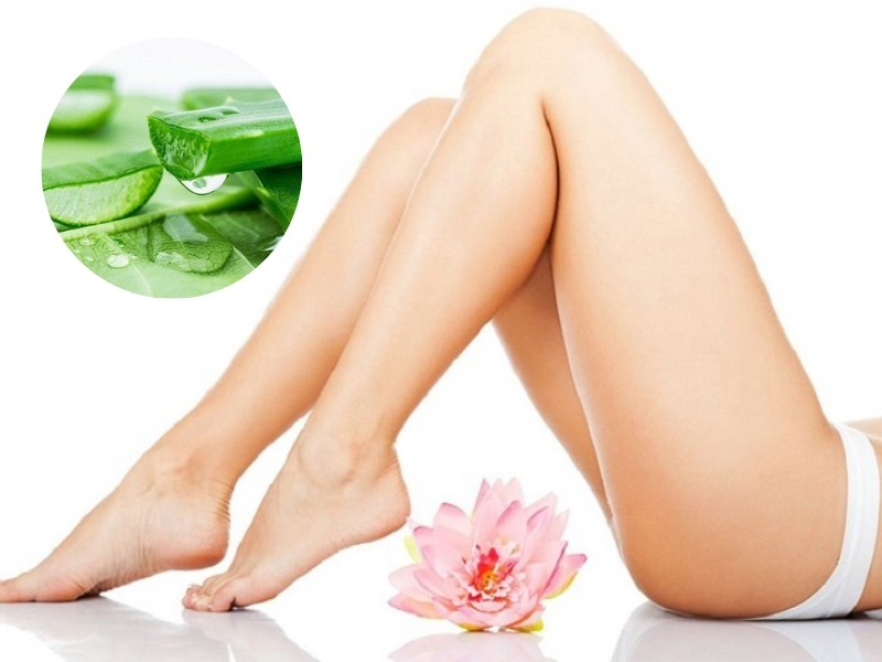 Sử dụng nguyên liệu từ thiên nhiên - Lô hội