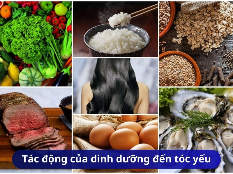 Tác động của dinh dưỡng đến tóc yếu