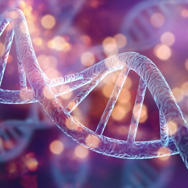 Tế bào là đơn vị cấu tạo cơ bản của cơ thể