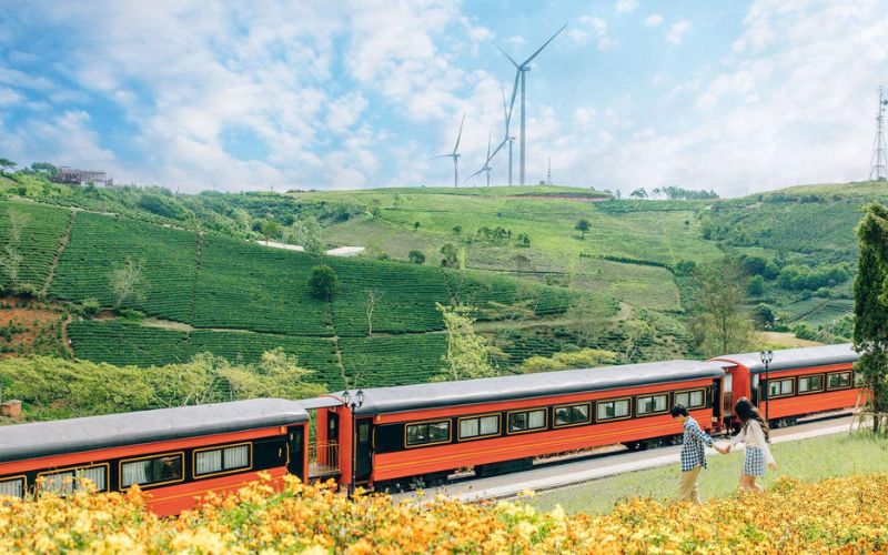 Đồi chè Cầu Đất