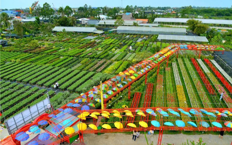 Đồng Tháp có gì chơi