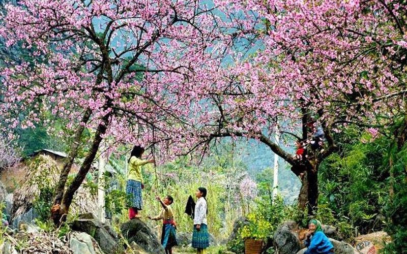 Du lịch mùa xuân