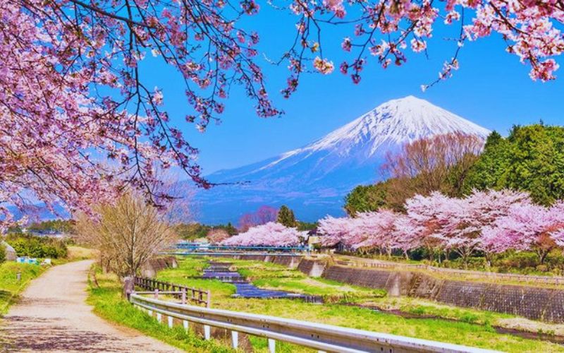 du lịch Nhật Bản