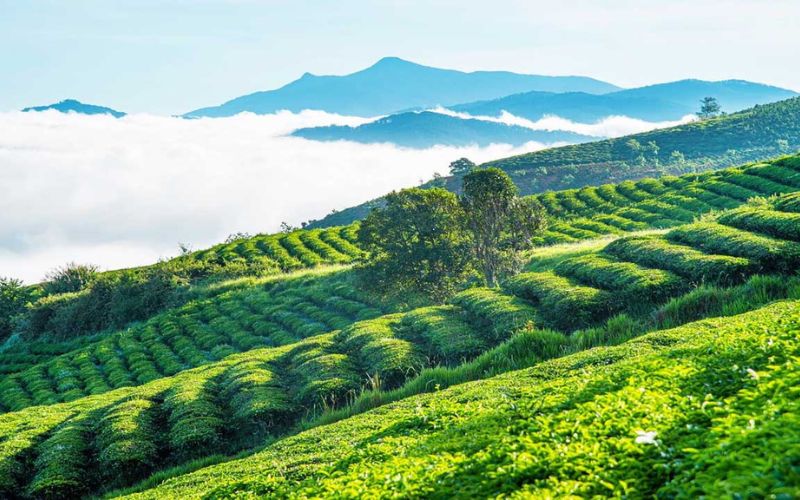 du lịch Tây Nguyên