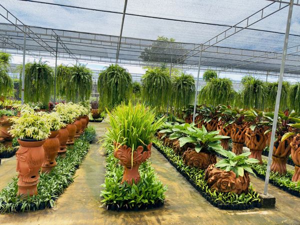 Làng văn hóa Nong Nooch