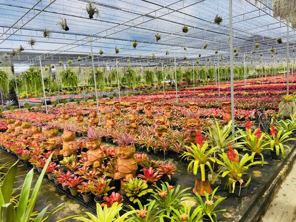 Làng văn hóa Nong Nooch