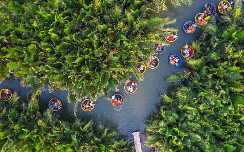 Rừng Dừa Bảy Mẫu