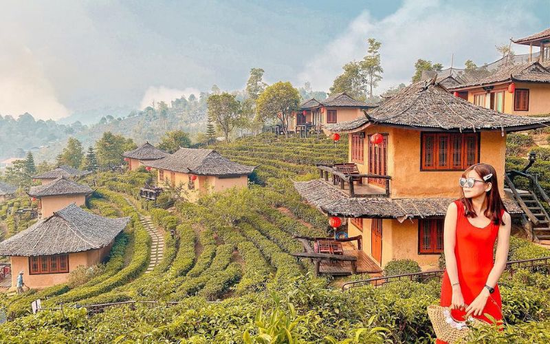 Vườn trà Long Tỉnh