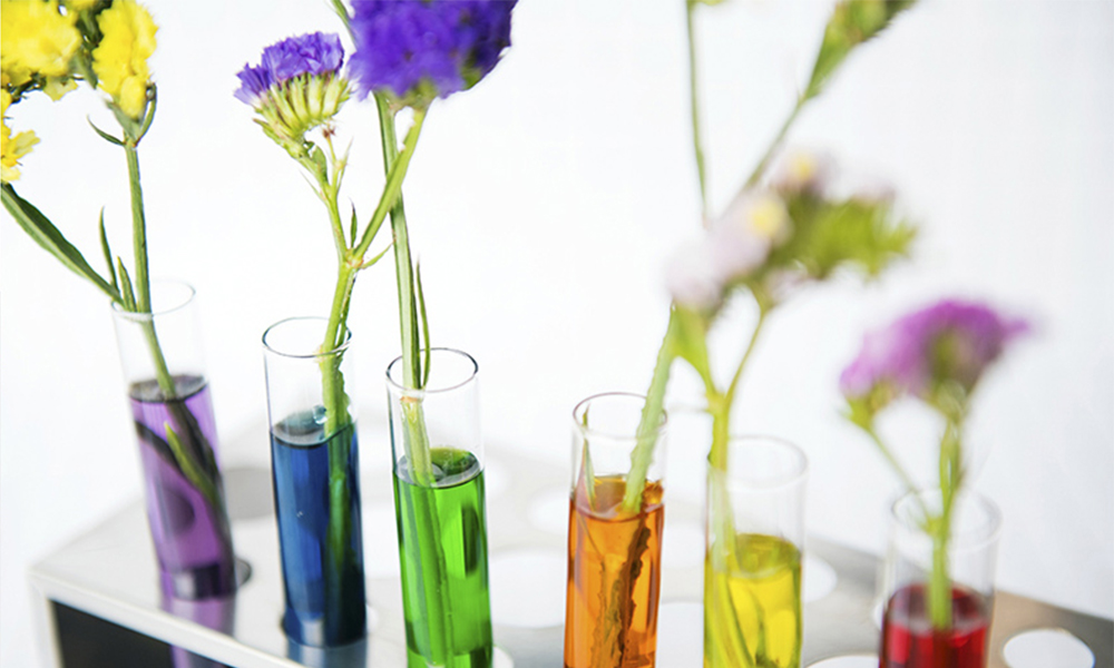 Instituto Espanol thích nghi với thời đại mới