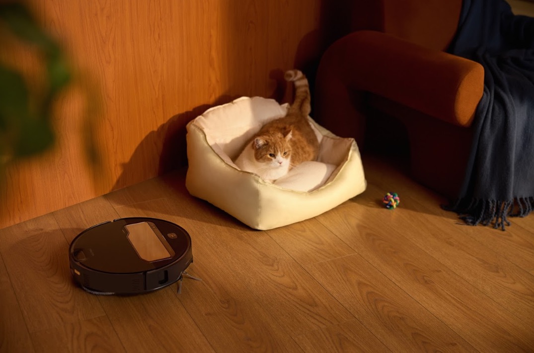 dị ứng bụi bẩn