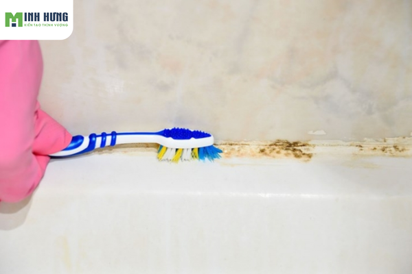 top-5-cong-dung-cua-ban-chai-danh-rang-cu-giup-tiet-kiem-tien-trieu-moi-nam