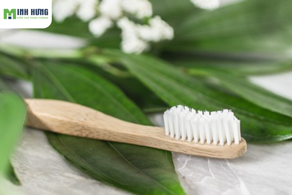 top-5-cong-dung-cua-ban-chai-danh-rang-cu-giup-tiet-kiem-tien-trieu-moi-nam