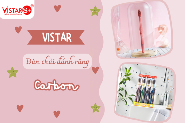 Ban-chai-danh-rang-nguoi-lon-Vistar