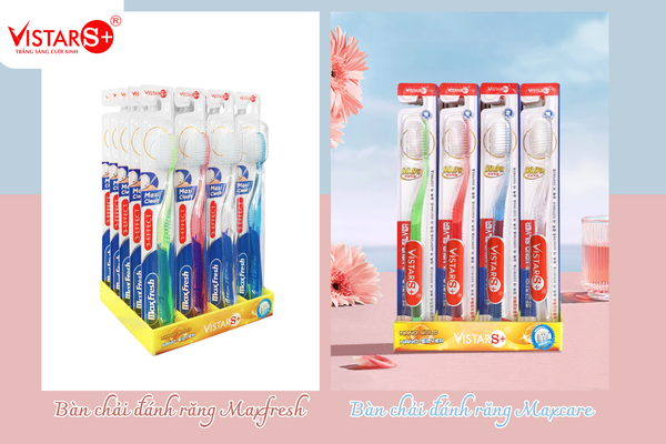 Ban-chai-danh-rang-nguoi-lon-Vistar