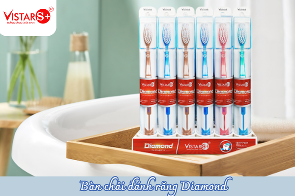 Ban-chai-danh-rang-nguoi-lon-Vistar