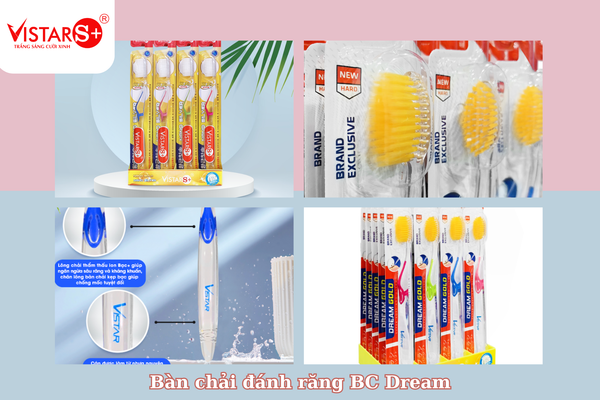 Ban-chai-danh-rang-nguoi-lon-Vistar